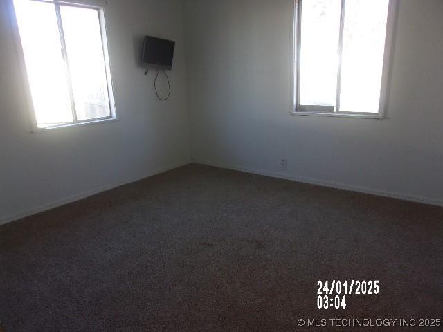 spare room featuring a wealth of natural light and carpet flooring