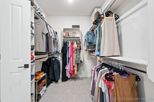 walk in closet with carpet flooring