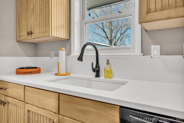 details with a sink, dishwasher, and light countertops