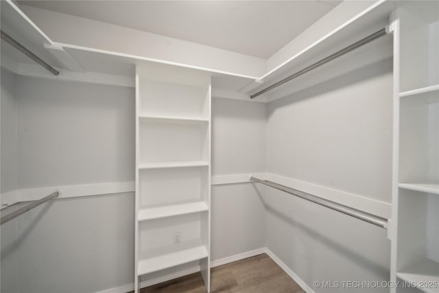 walk in closet featuring wood finished floors