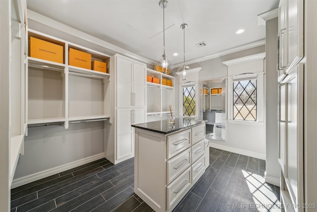 spacious closet featuring wood finish floors and visible vents