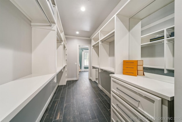 walk in closet with dark wood-type flooring