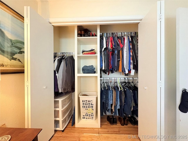 view of closet