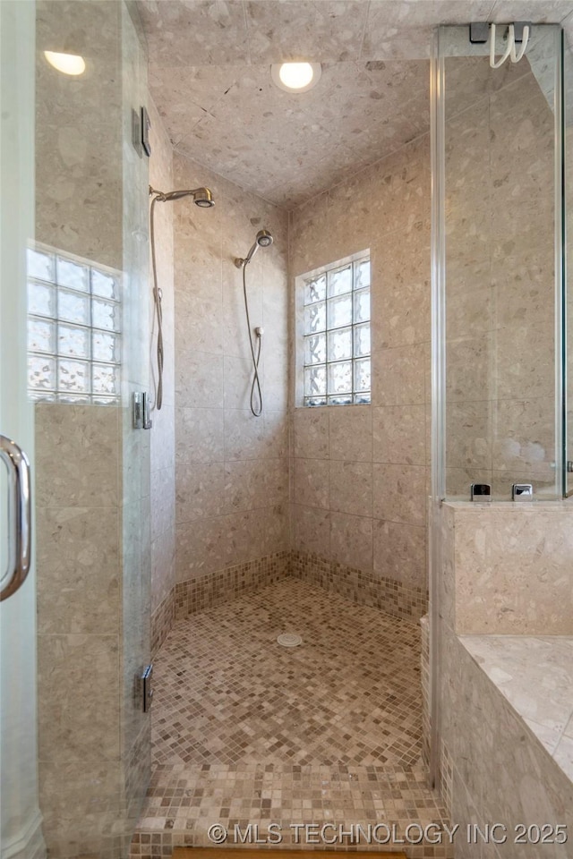 bathroom featuring a shower stall