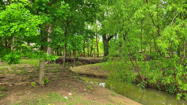 3828 W Orlando St, Broken Arrow, OK 74011 - view of local wilderness