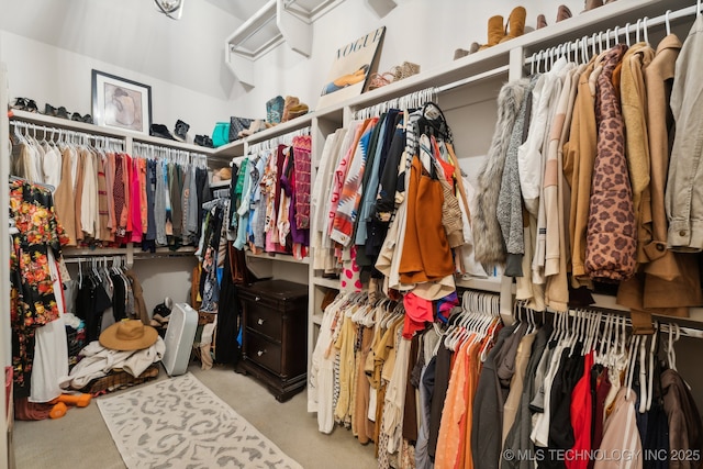 view of spacious closet