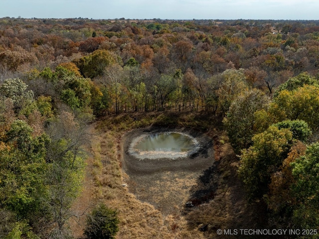 bird's eye view with a water view and a wooded view