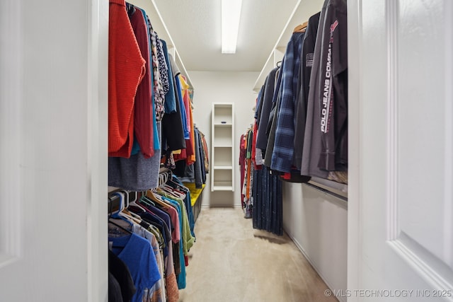 walk in closet featuring carpet