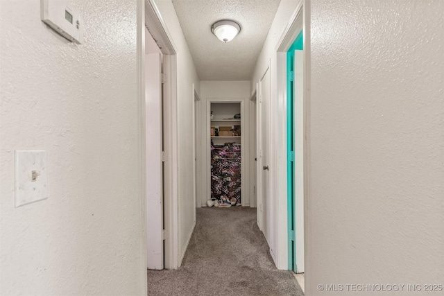 hallway featuring carpet, a textured wall, and a textured ceiling