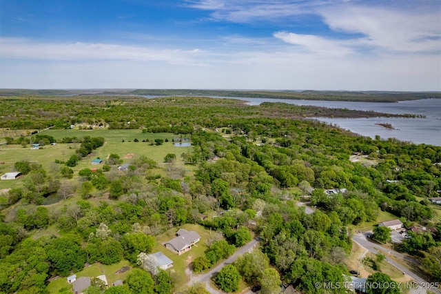 drone / aerial view with a water view and a view of trees