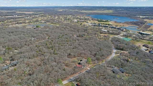 341 S Diamondhead Dr, Burneyville, OK 73430 - bird's eye view with a water view