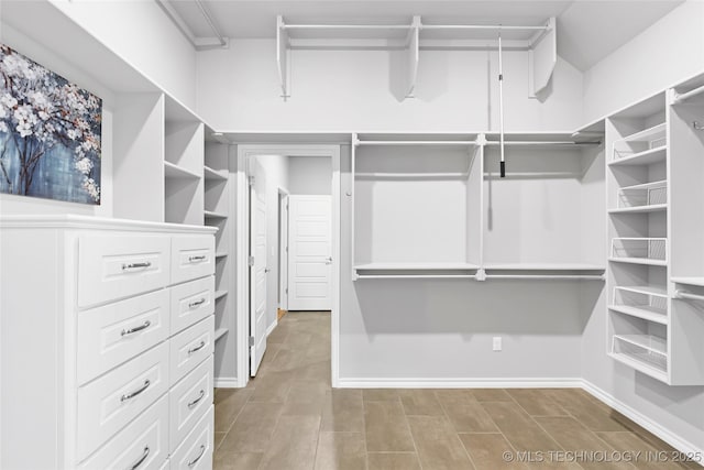 view of spacious closet