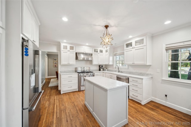 kitchen featuring white cabinetry, wood finished floors, under cabinet range hood, and stainless steel appliances