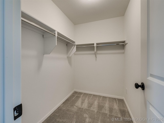 spacious closet with carpet flooring