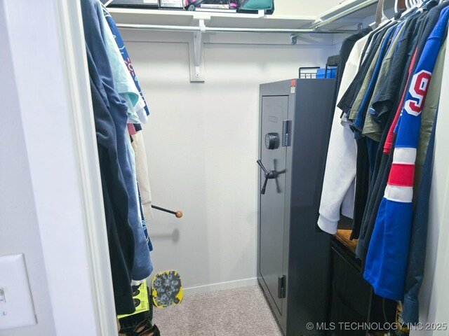 spacious closet with carpet flooring