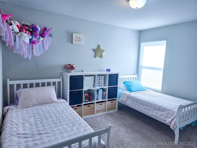 bedroom with carpet