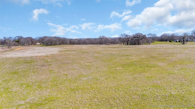20480 Burneyville, Burneyville, OK 73430 - view of yard featuring a rural view