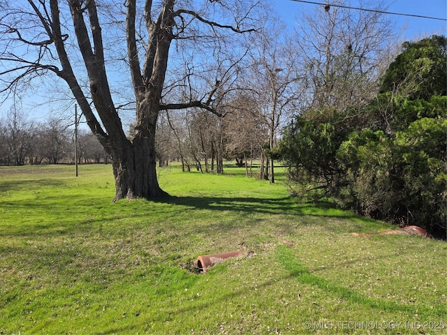 view of yard