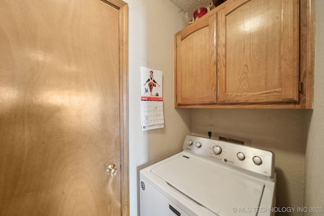 washroom with cabinet space and washer / dryer