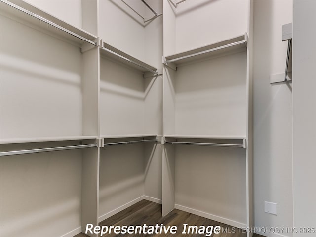 walk in closet featuring dark wood-style floors