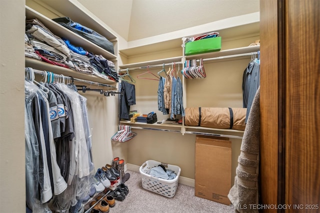 spacious closet with carpet flooring