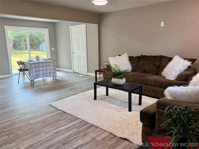 living room featuring baseboards and light wood-style floors