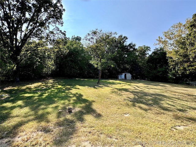 view of yard featuring an outbuilding and a shed