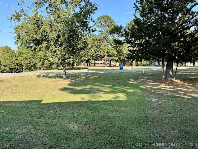 view of community featuring a yard