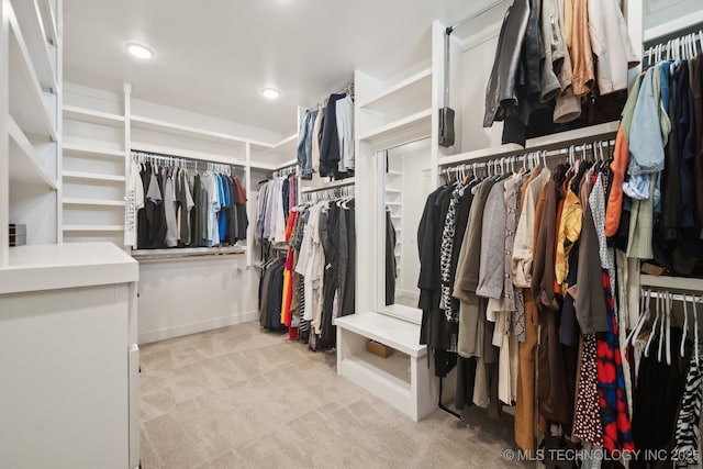 spacious closet featuring carpet floors