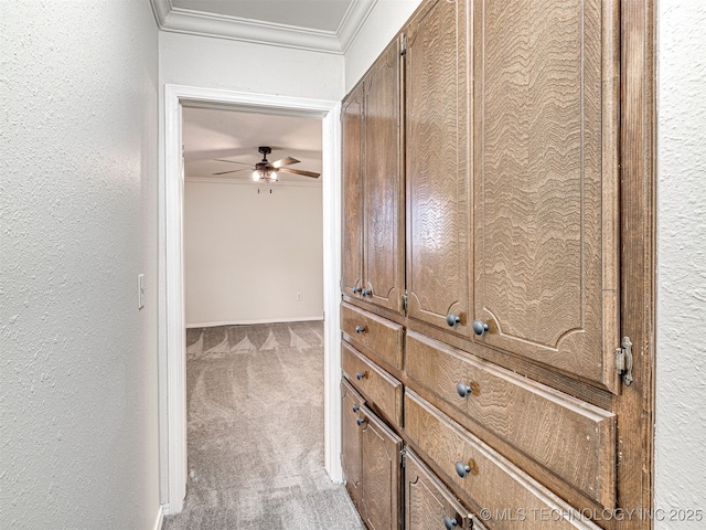 hallway with carpet, crown molding, and a textured wall