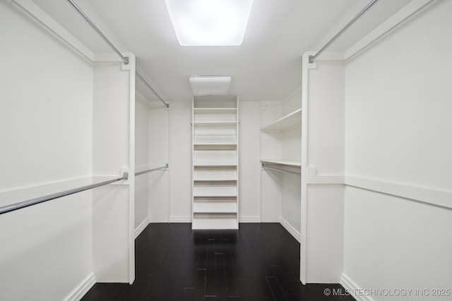 spacious closet featuring dark wood-style floors