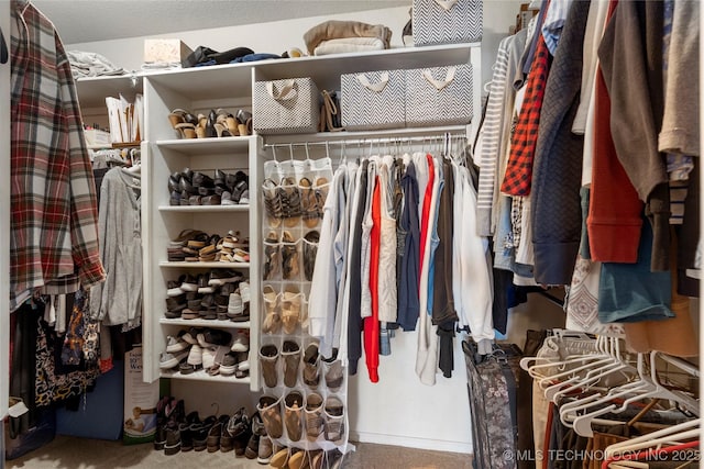 view of walk in closet