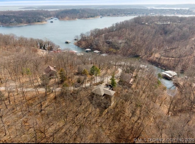 33861 S 4507th Rd, Afton, OK 74331 - aerial view of property's location with a nearby body of water