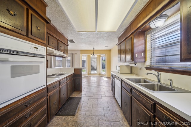 kitchen featuring under cabinet range hood, white appliances, light countertops, and a sink