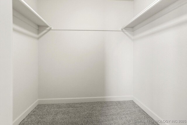 walk in closet with carpet floors