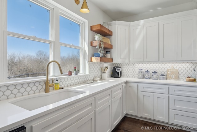 kitchen with tasteful backsplash, open shelves, white cabinetry, and a sink