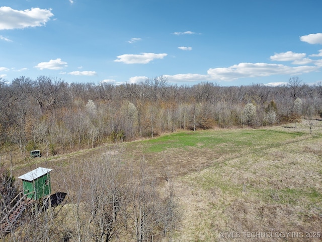 view of yard with a forest view