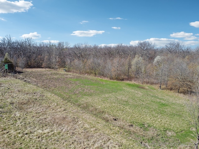 view of yard featuring a view of trees