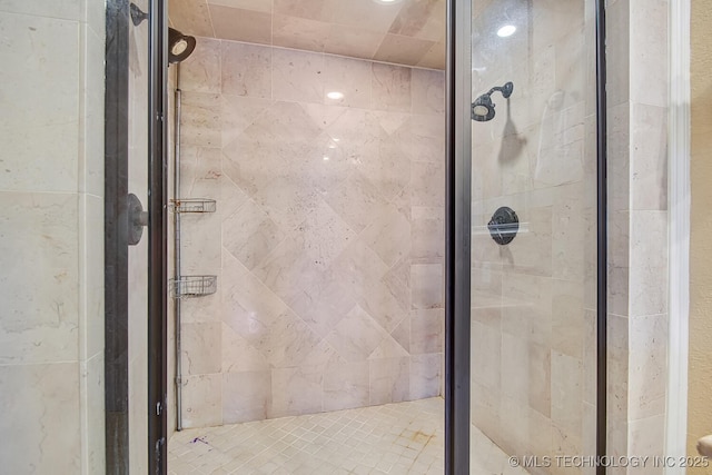 bathroom featuring a shower stall