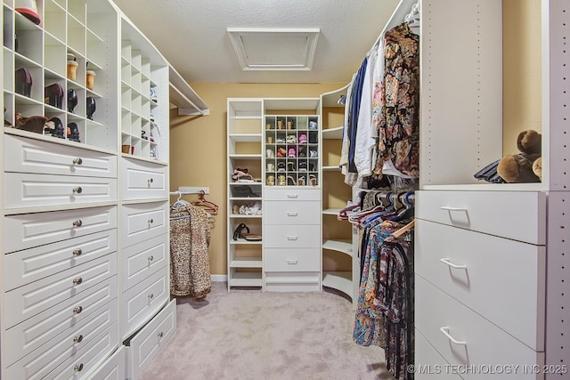 walk in closet with carpet and attic access