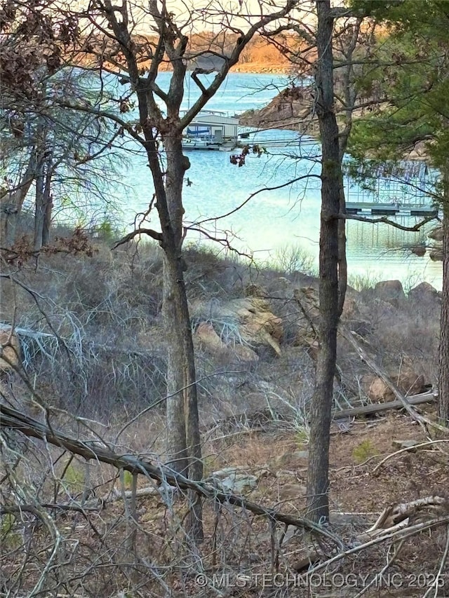 view of water feature