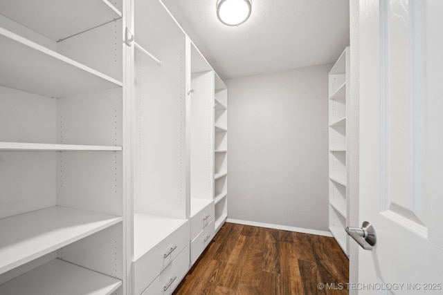 walk in closet with dark wood-type flooring