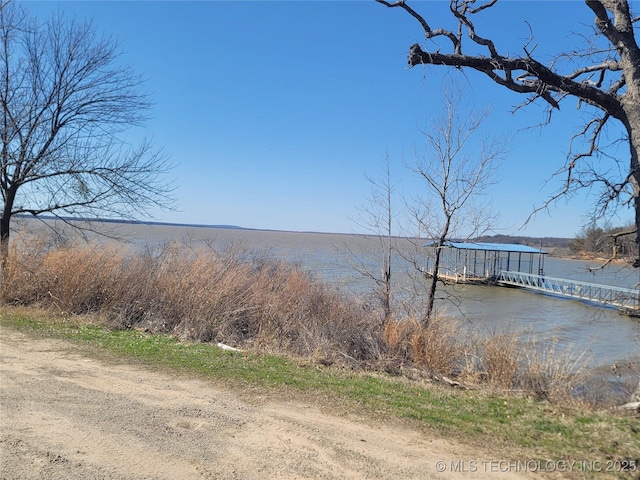 water view featuring a dock