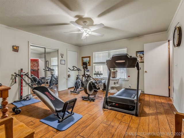 workout area with crown molding, ceiling fan, and hardwood / wood-style floors