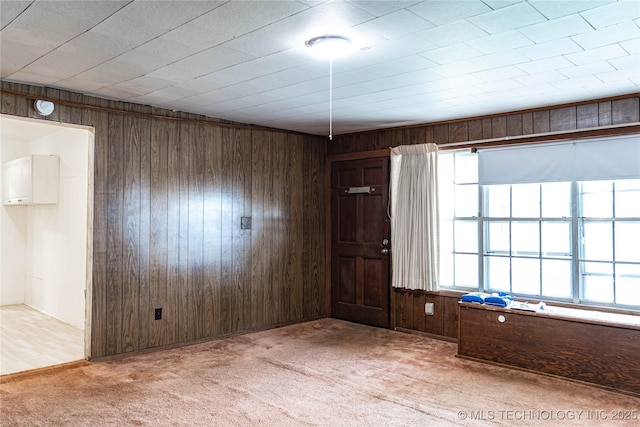 spare room with wooden walls and light colored carpet