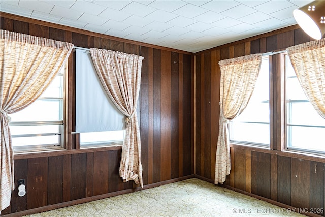 unfurnished room featuring carpet flooring and wood walls