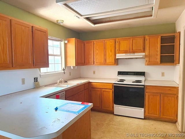 kitchen featuring white appliances, light countertops, under cabinet range hood, and a sink