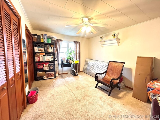 living area with baseboards, carpet, ceiling fan, and crown molding