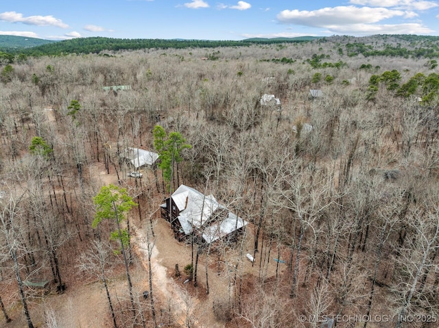 bird's eye view with a view of trees