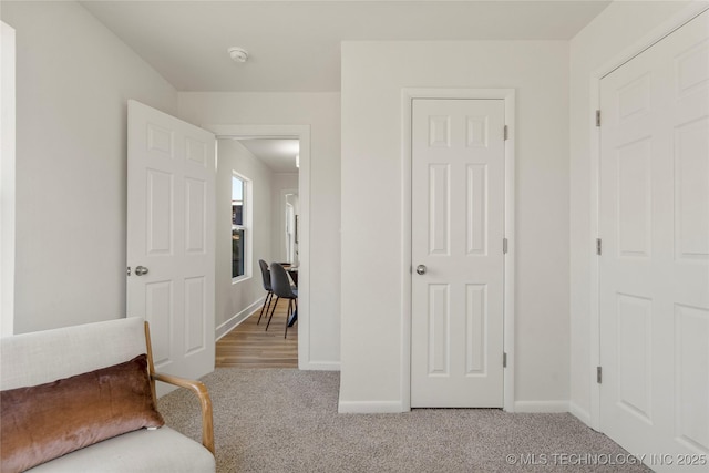 interior space with carpet and baseboards